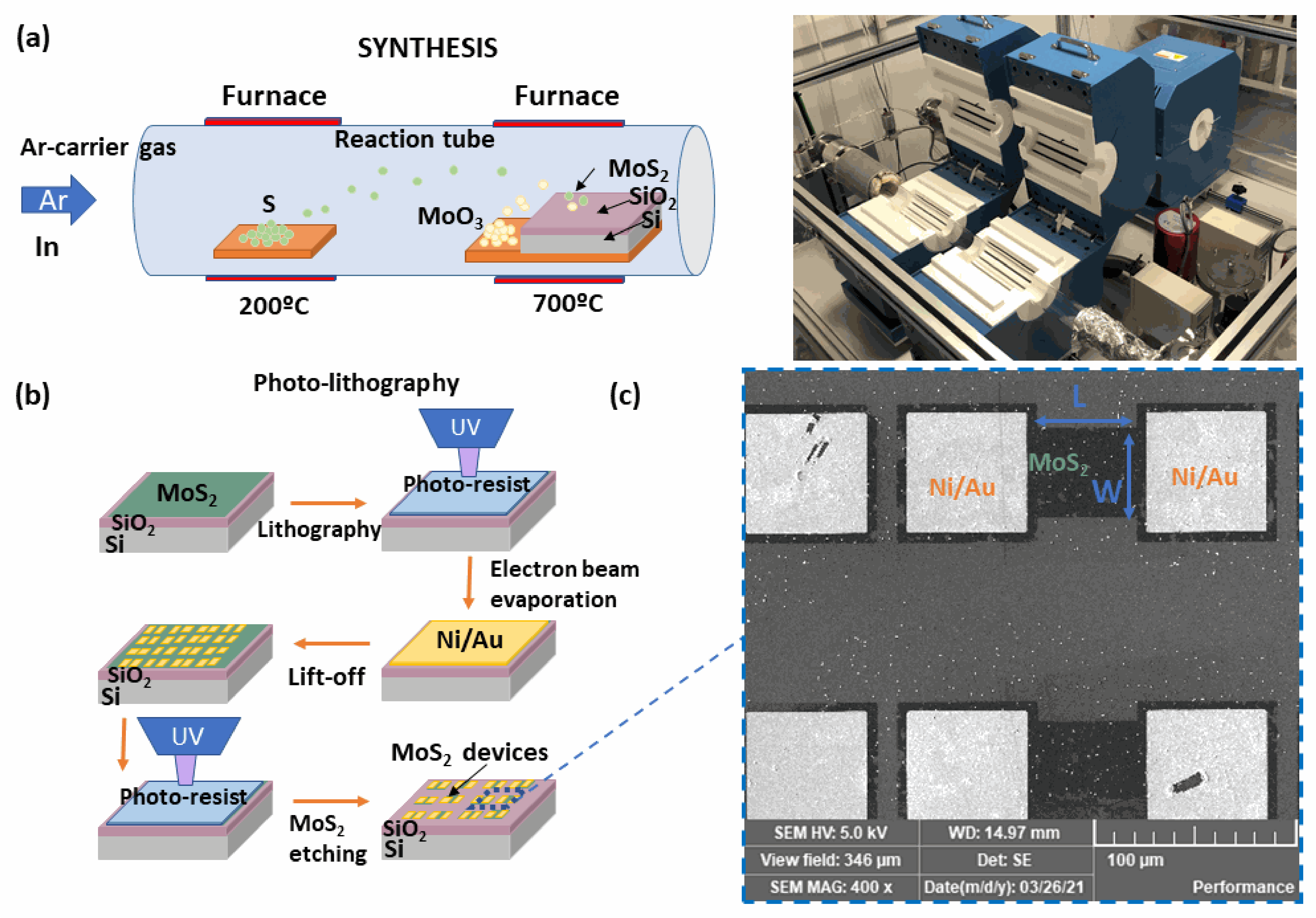 Odoo • Text and Image